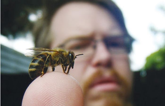 Côn trùng bay vào mắt là một tai nạn rất thường hay gặp phải Côn trùng bay vào mắt là một tai nạn rất thường hay gặp phải