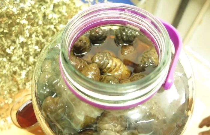 Trái nhàu ngâm đường