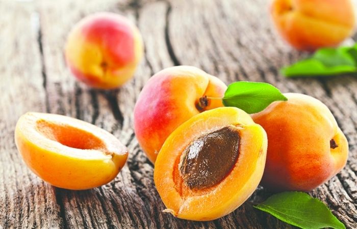 Quả mơ rất tốt cho những tháng cuối thai kỳ Quả mơ rất tốt cho những tháng cuối thai kỳ