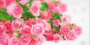 Những hình ảnh hoa đẹp mừng ngày 20/10 thay lời chúc