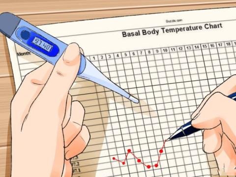 Cách tính ngày rụng trứng bằng nhiệt kế theo dõi chu kỳ rụng trứng Cách tính ngày rụng trứng bằng nhiệt kế theo dõi chu kỳ rụng trứng