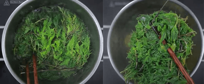 Cách nấu nước lá đinh lăng