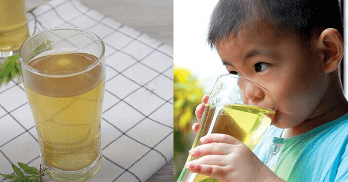 Cách nấu nước lá đinh lăng