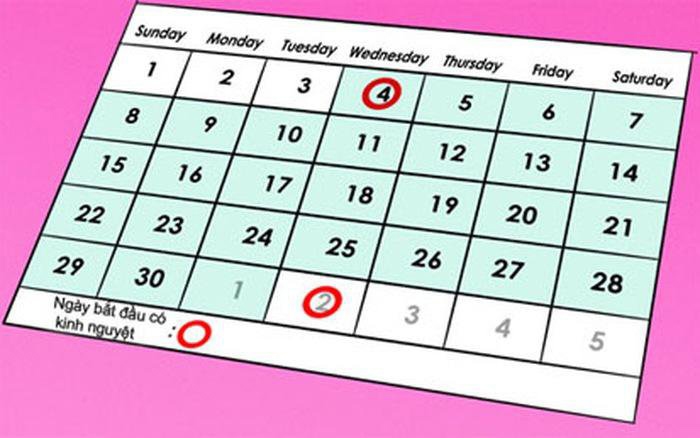 Tính ngày rụng trứng cho người kinh nguyệt không đều Tính ngày rụng trứng cho người kinh nguyệt không đều