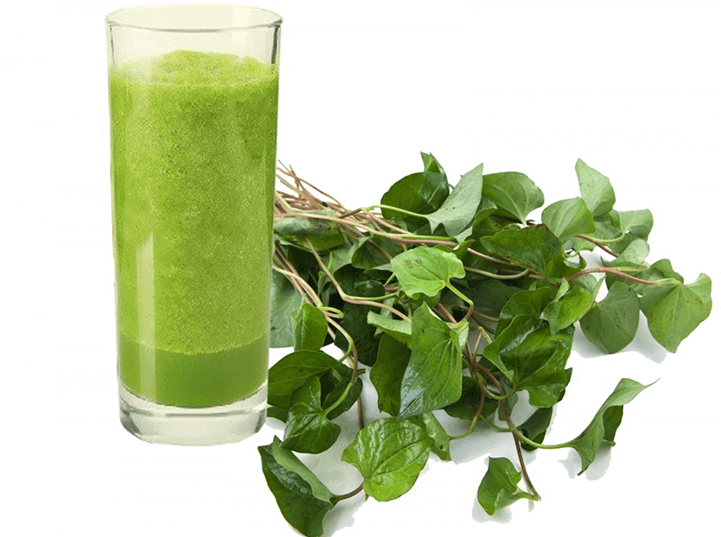 Nước rau diếp cá