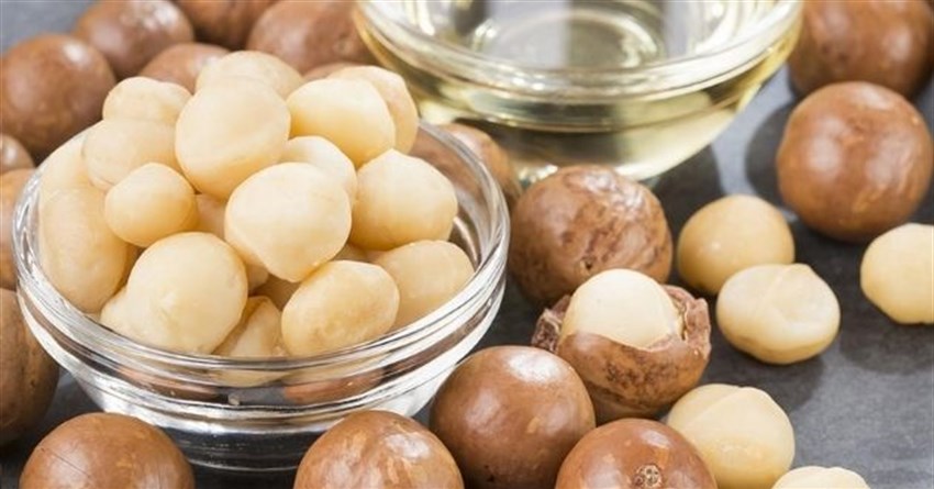 Hạt macca là gì? Hạt macca có tác dụng gì?