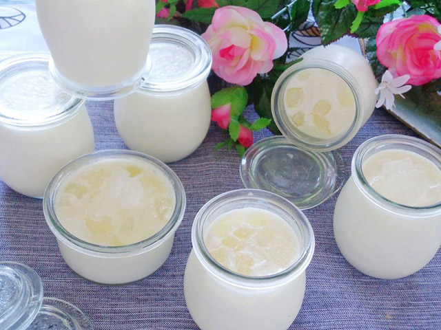 Cách làm yaourt nha đam