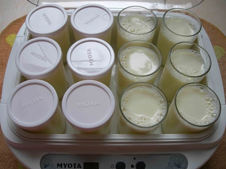 Ủ yaourt bằng máy làm sữa chua