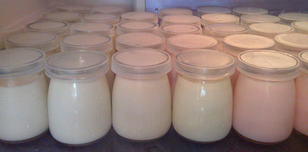 Ủ yaourt phô mai bằng lò nướng