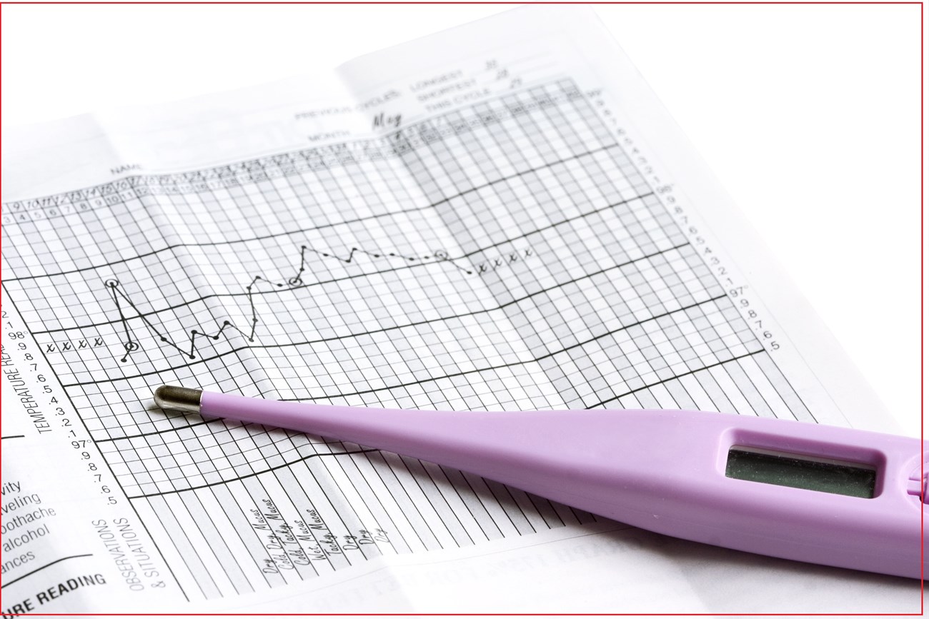 Nhiệt kế theo dõi kỳ rụng trứng Nhiệt kế theo dõi kỳ rụng trứng