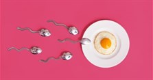 Ngày rụng trứng là ngày nào? Ngày rụng trứng có biểu hiện hay dấu hiệu gì?