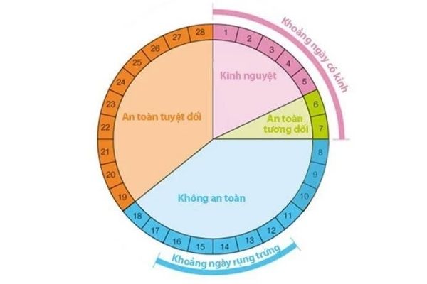 Cách tính ngày rụng trứng 