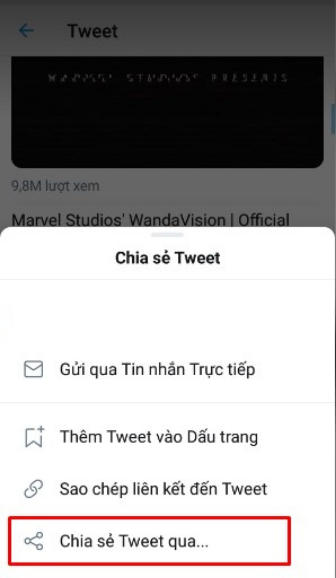 Bấm vào nút được khoanh đỏ để download video Twitter về máy
