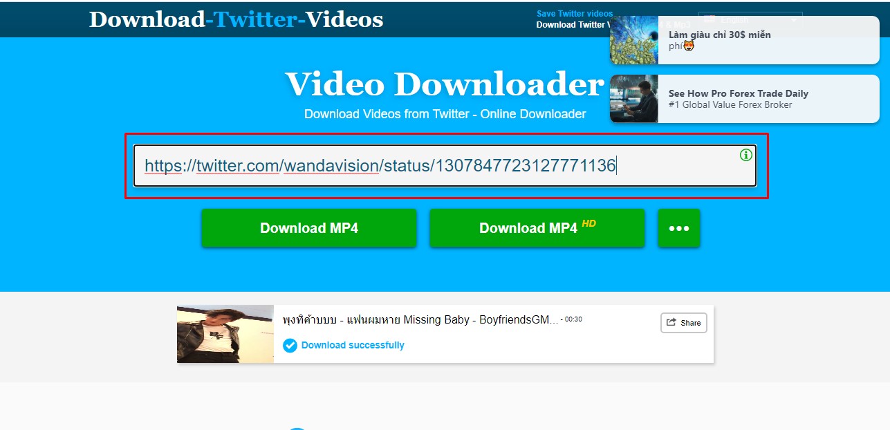 Truy cập vào Download Twitter Videos và paste đường link vào khung bên dưới