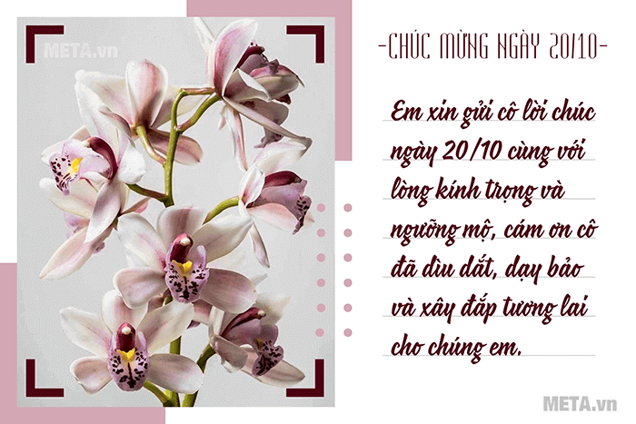 Hoa lan tượng trưng cho vẻ đẹp đài cách, quý phái, sang trọng, là ưu tiên hàng đầu để tặng cho người lớn tuổi hơn