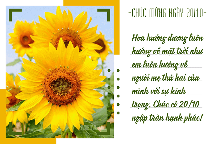 Hoa hướng dương luôn hướng về mặt trời như học sinh luôn hướng về người mẹ thứ hai của mình với sự kính trọng