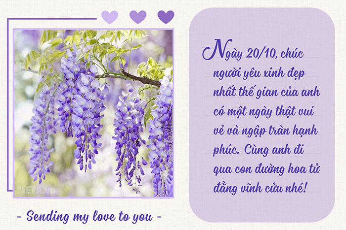 Hoa tử đằng - tình yêu vĩnh cửu, trường tồn với thời gian