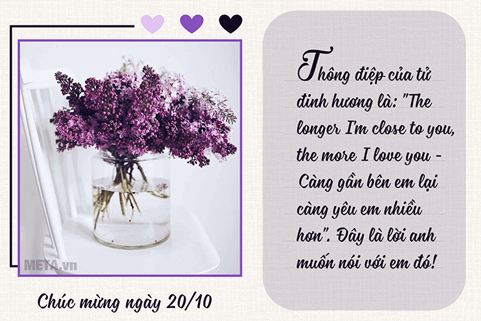 Tử đinh hương được dùng để diễn tả những cảm xúc lãng mạn đầu tiên trong tình yêu