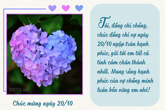 Cẩm tú cầu - đại diện của tình cảm chân thành xuất phát từ trái tim