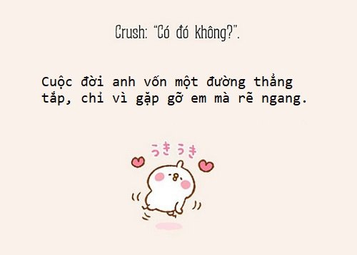 Caption thả thính chất lượng Caption thả thính chất lượng