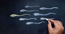 Tinh trùng loãng có phải yếu không? Cách tăng chất lượng tinh trùng bằng thực phẩm