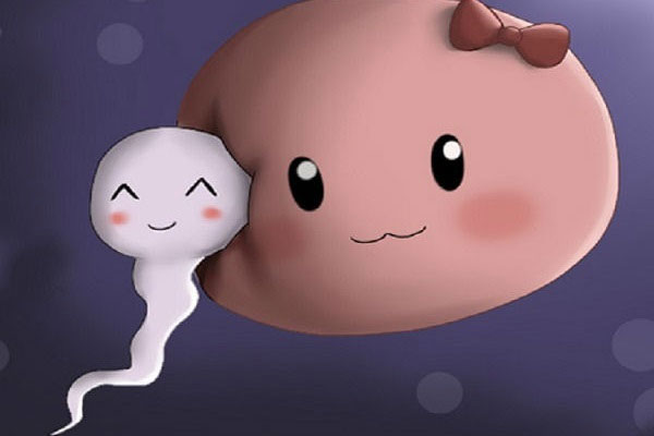 Tinh trùng Tinh trùng