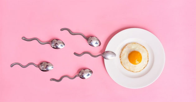 Tinh trùng Tinh trùng