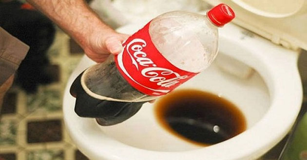 Thông tắc bồn cầu