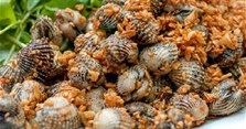 Cách làm sò huyết xào tỏi thơm ngon, hấp dẫn