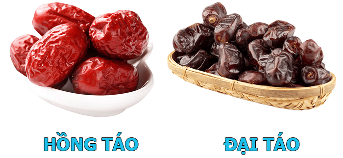 Táo tàu đỏ và táo tàu đen Táo tàu đỏ và táo tàu đen