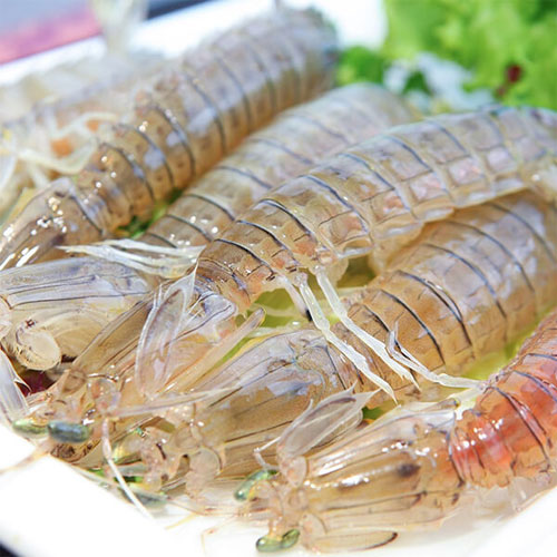 Cách chọn bề bề Cách chọn bề bề