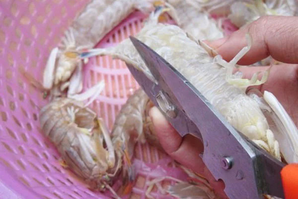 Sơ chế bề bề Sơ chế bề bề