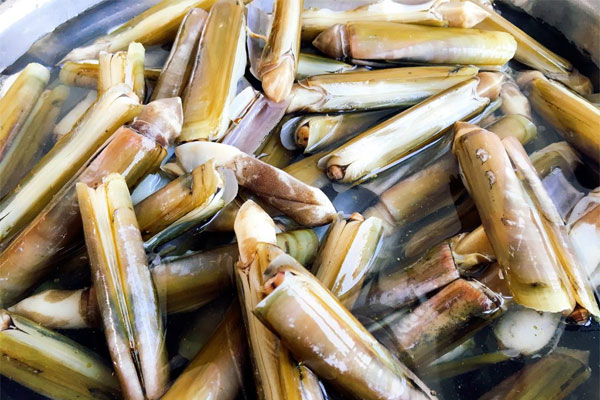 Chọn ốc móng tay