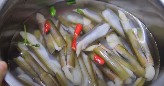 Làm sạch ốc móng tay