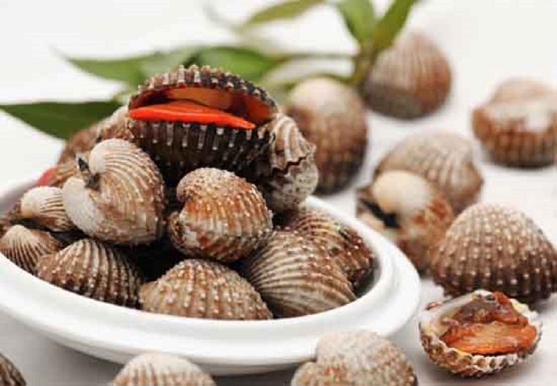 Tác dụng của sò huyết