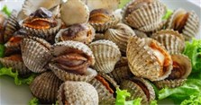 3 cách làm sò huyết hấp tại nhà đơn giản, ngon tuyệt cú mèo