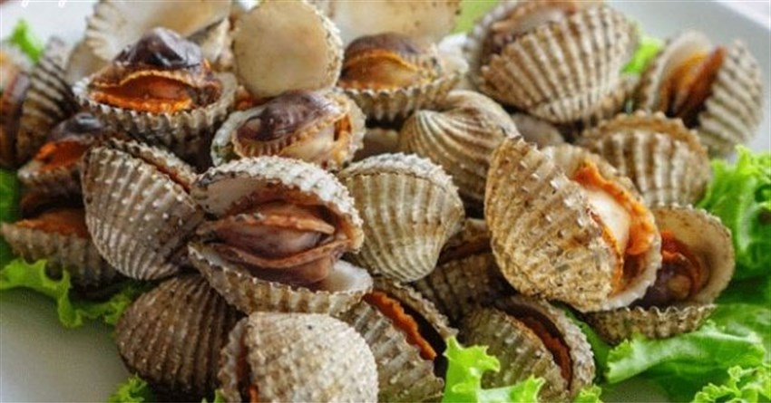 3 cách làm sò huyết hấp tại nhà đơn giản, ngon tuyệt cú mèo