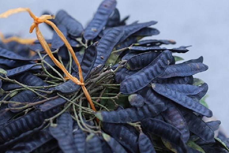 Cách trị gàu hiệu quả bằng bồ kết