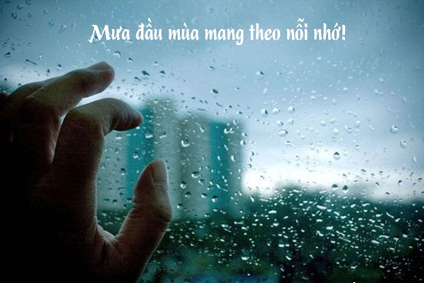 Stt thả thính ngày mưa