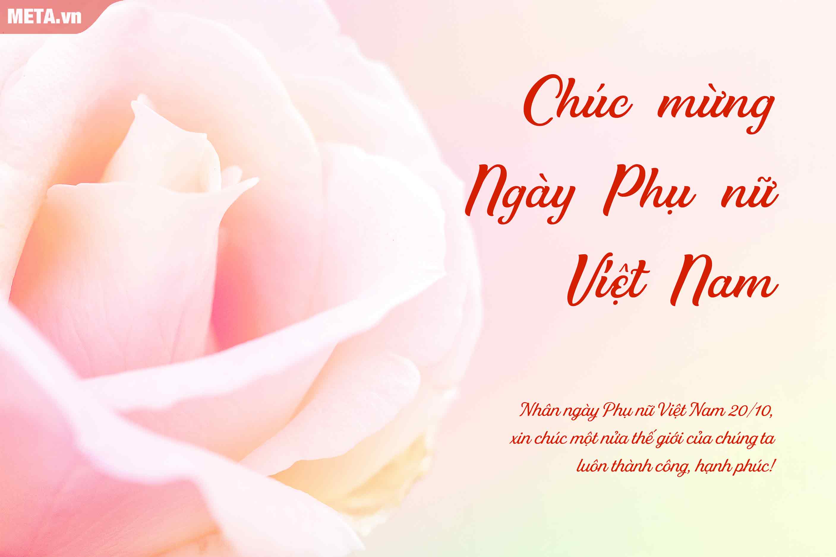 Lời chúc mừng 20/10 đồng nghiệp nữ