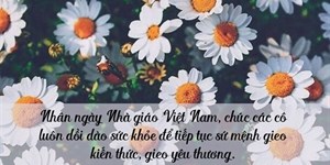 Lời chúc 20.11 cho cô giáo mầm non hay và ý nghĩa nhất