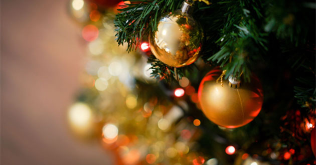 Câu nói hay về Noel Câu nói hay về Noel