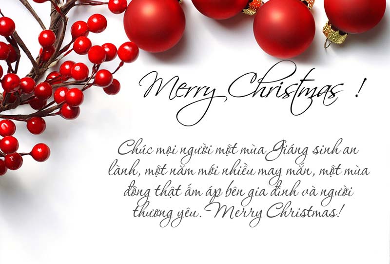 Ảnh chúc mừng Giáng Sinh đẹp cùng lời chúc ấm áp như thế này cũng là một món quà đáng yêu trong dịp Noel đấy!