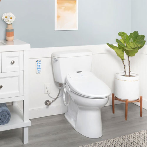 Ngày Quốc tế Toilet Ngày Quốc tế Toilet