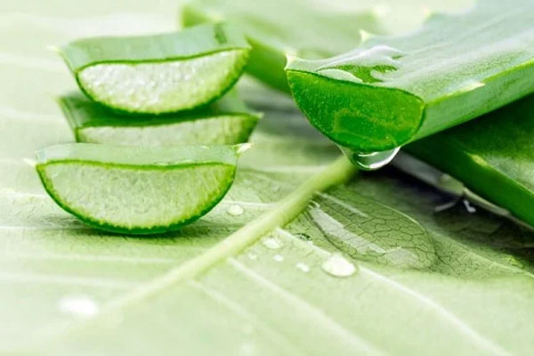 Trị thâm nách bằng nha đam