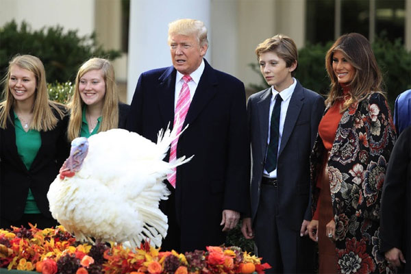 Ân xá gà tây Ân xá gà tây