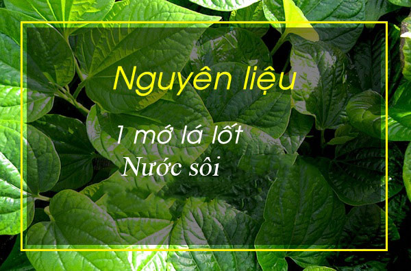 Mẹo trị viêm nang lông bằng lá lốt Mẹo trị viêm nang lông bằng lá lốt