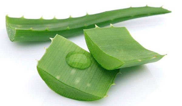 Mặt nạ se khít lỗ chân lông nha đam