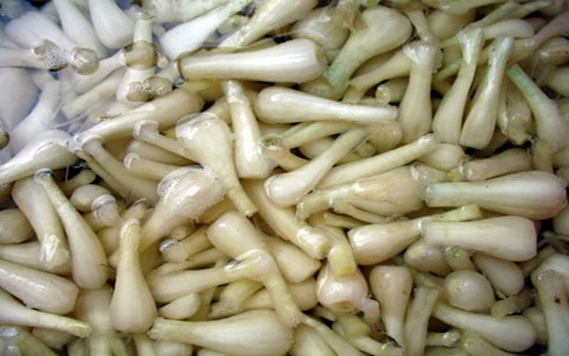 Cách muối kiệu không bị váng Cách muối kiệu không bị váng