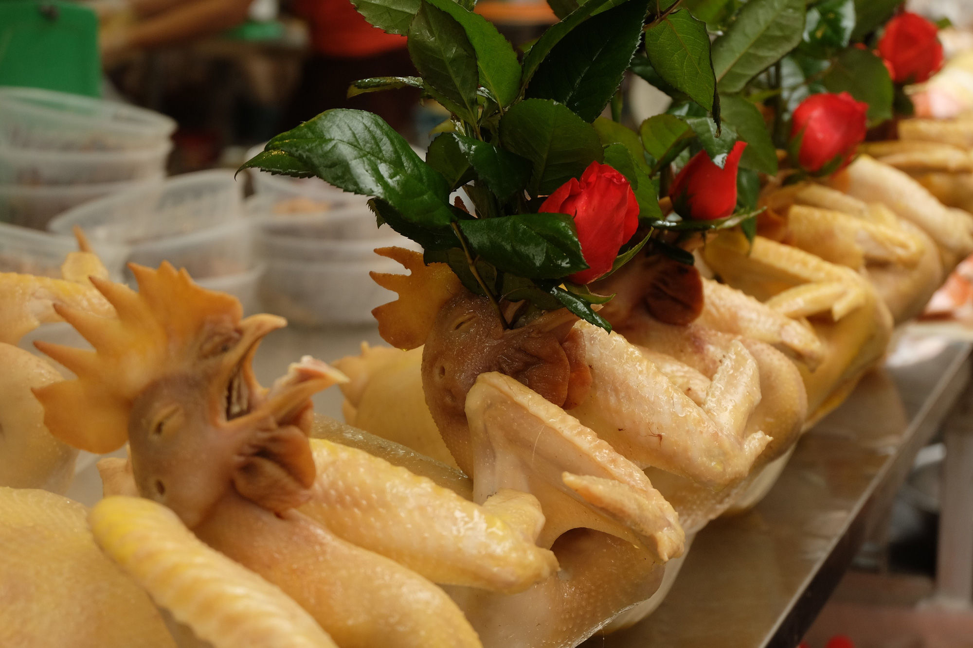 Cần lưu ý gì khi buộc gà cúng? Cần lưu ý gì khi buộc gà cúng?